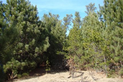 Farm and Ranch in Oneida County, Wisconsin