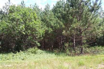 Timberland Property in Oneida County, Wisconsin