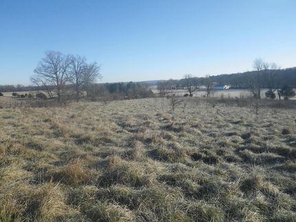 Hunting Property in Howell County, Missouri