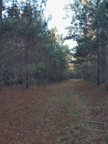 Recreational Property in Bullock County, Alabama