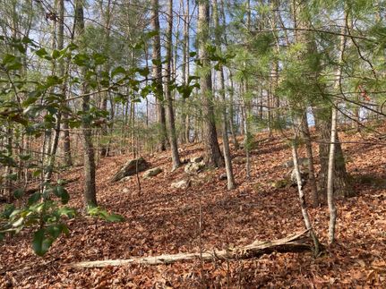 Land in Morgan County, Tennessee