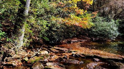 Hunting Property in Raleigh County, West Virginia