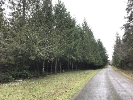Timberland Property in Thurston County, Washington