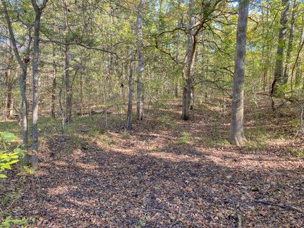 Land in Red River County, Texas
