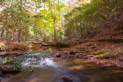 Timberland Property in Lumpkin County, Georgia