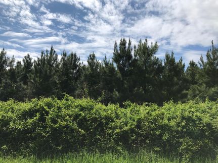 Recreational Property in Logan County, Arkansas