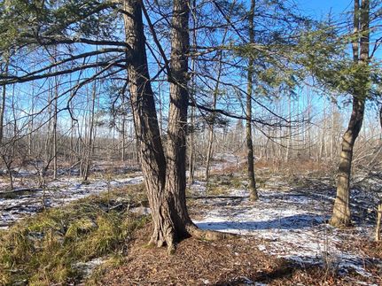 Timberland Property in Crawford County, Pennsylvania