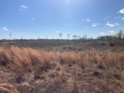 Land in Clarke County, Alabama