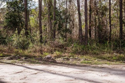 Undeveloped Land in Putnam County, Florida