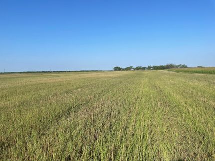 Undeveloped Land in Jones County, Texas