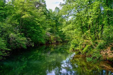 Undeveloped Land in Lumpkin County, Georgia
