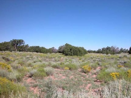Farm and Ranch in Apache County, Arizona