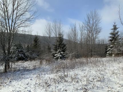 Farm and Ranch in Chenango County, New York