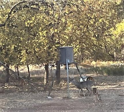 Recreational Property in Donley County, Texas
