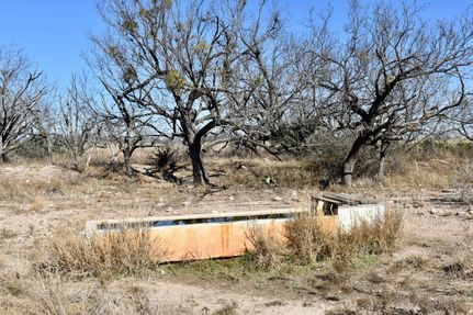 Undeveloped Land in McCulloch County, Texas