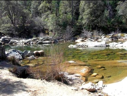 Waterfront Property in Siskiyou County, California