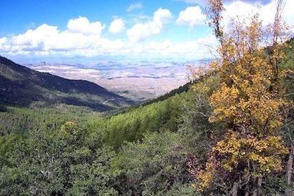 Farm and Ranch in Gila County, Arizona