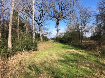 Farm and Ranch in Freestone County, Texas