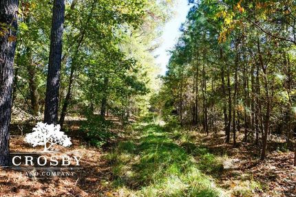 Farm and Ranch in Chesterfield County, South Carolina
