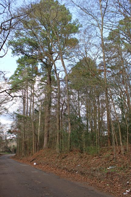 Land in Nacogdoches County, Texas
