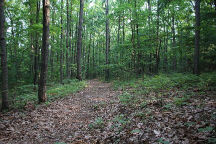 Land in Page County, Virginia