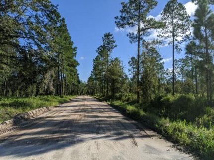Farm and Ranch in Hamilton County, Florida