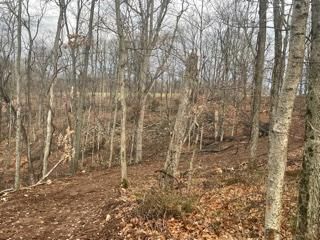 Land in Perry County, Indiana