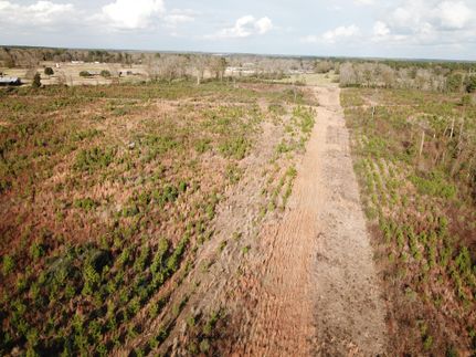 Undeveloped Land in Nacogdoches County, Texas