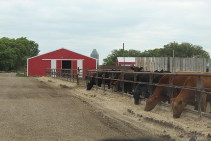 Farm and Ranch in McHenry County, North Dakota
