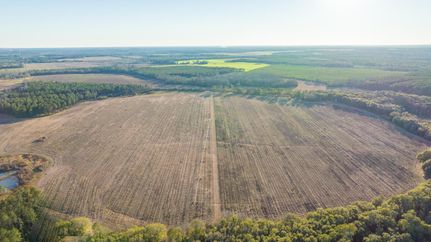 Farm and Ranch in Terrell County, Georgia