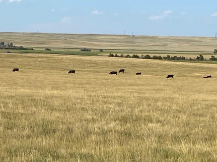 Recreational Property in Deuel County, Nebraska