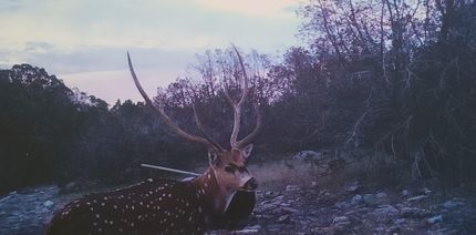 Farm and Ranch in Edwards County, Texas