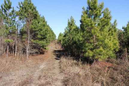 Farm and Ranch in Calhoun County, South Carolina