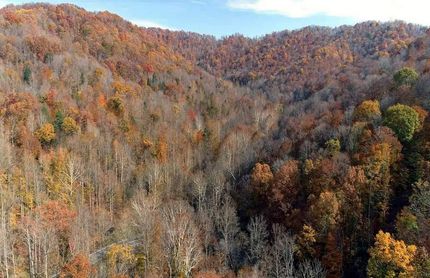 Timberland Property in Fayette County, West Virginia
