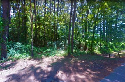 Undeveloped Land in Sabine County, Texas