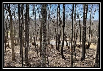 Undeveloped Land in Muskingum County, Ohio
