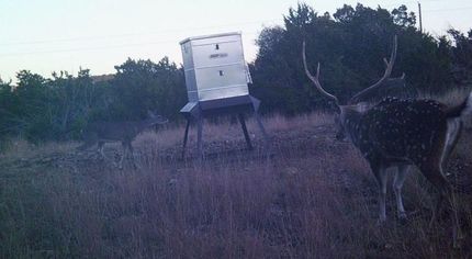 Recreational Property in Edwards County, Texas