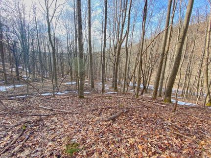 Land in Madison County, North Carolina