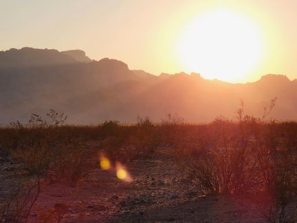 Undeveloped Land in Mohave County, Arizona
