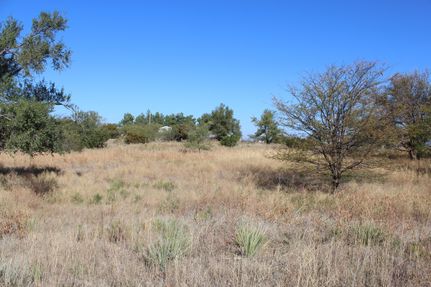 Undeveloped Land in Donley County, Texas