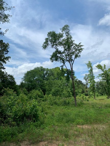 Farm and Ranch in Harrison County, Texas