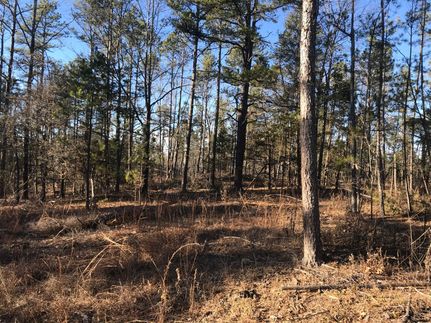 Farm and Ranch in Izard County, Arkansas