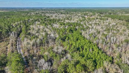 Farm and Ranch in Worth County, Georgia