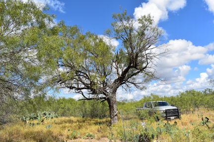 Land in Dimmit County, Texas