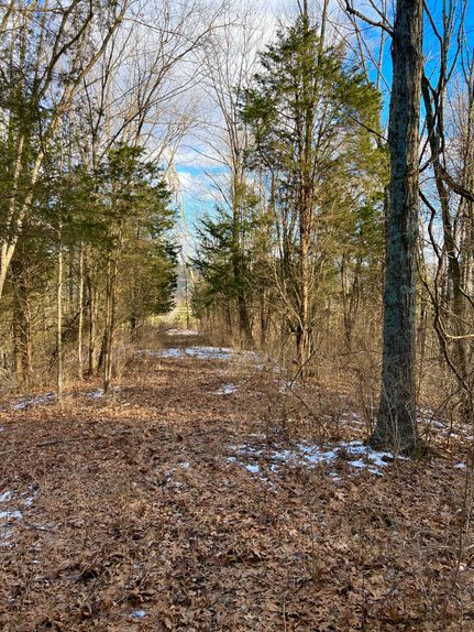 Land in Adams County, Ohio