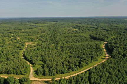 Undeveloped Land in Lyon County, Kentucky