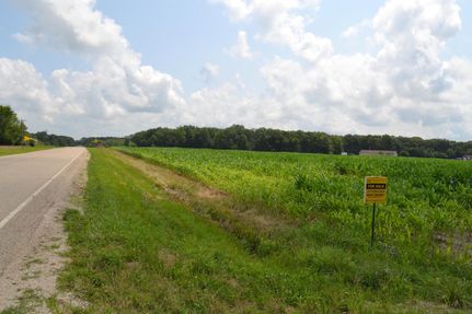 Undeveloped Land in Clark County, Illinois