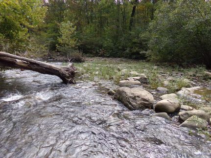Land in Van Buren County, Arkansas