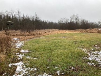 Land in Waupaca County, Wisconsin