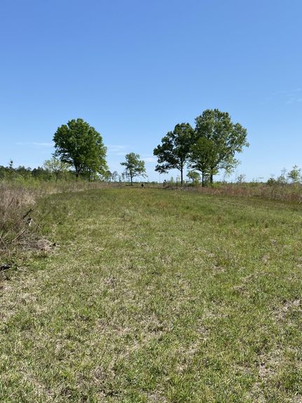 Farm and Ranch in Williamsburg County, South Carolina